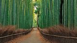 Arashiyama, Japan