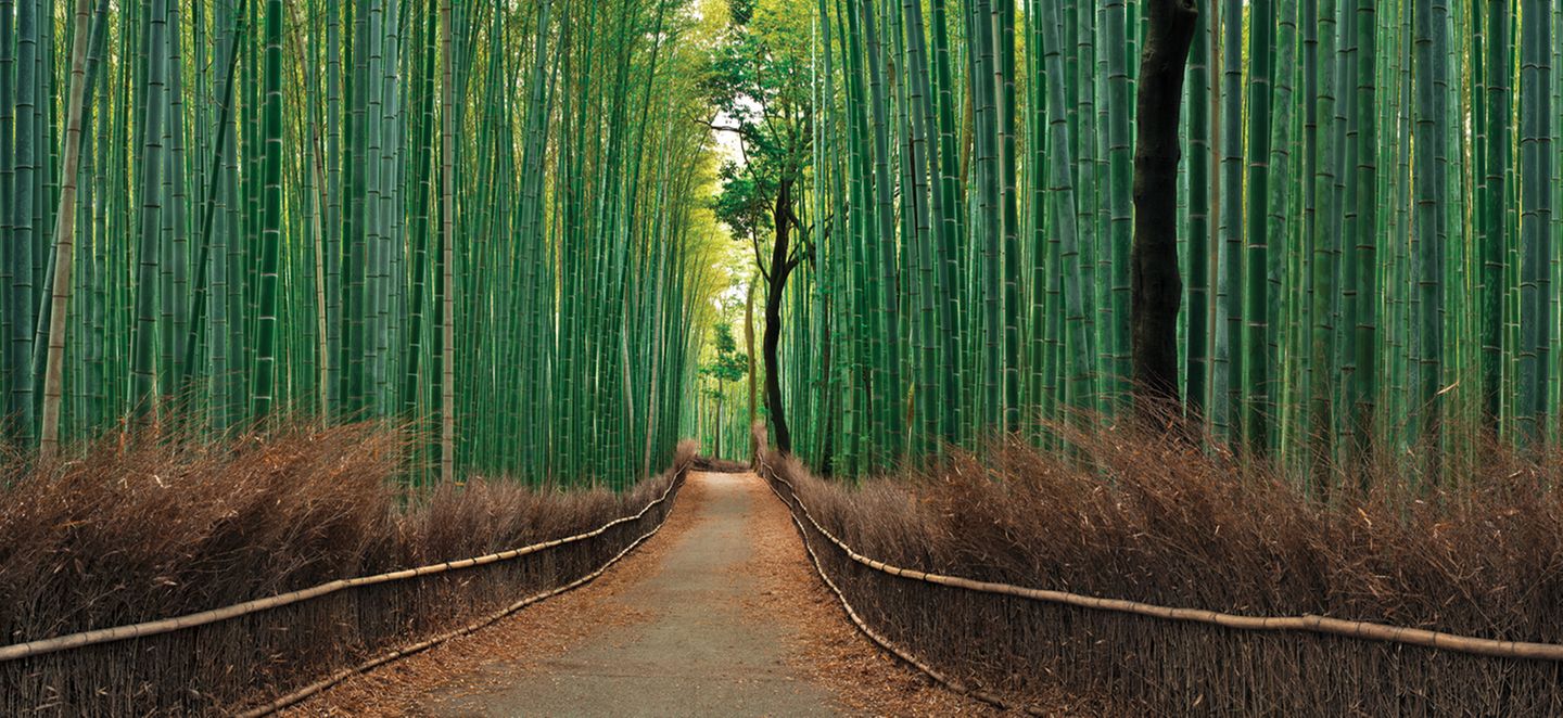 Arashiyama, Japan