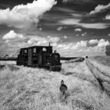 Rüdiger Lubricht, Moorland