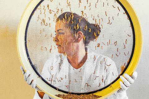 Insektenbäuerin Giroud mit ihrer Mehlwurm-Ernte