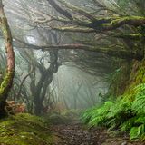 Anaga-Gebirge, Teneriffa