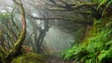Anaga-Gebirge, Teneriffa