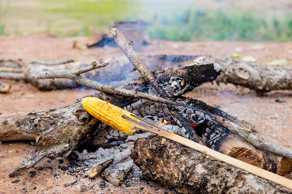 Maiskolben über dem Lagerfeuer