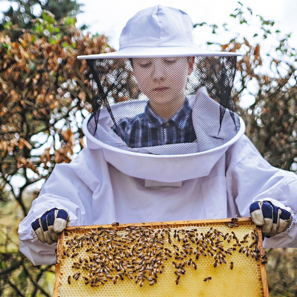 Imker bei der Arbeit mit den Bienen