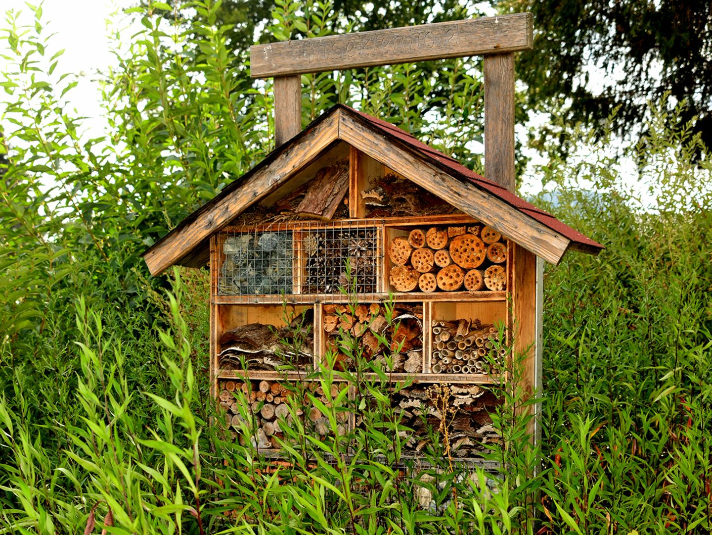 Insektenhotel im Wald