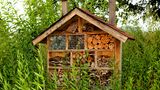 Insektenhotel im Wald