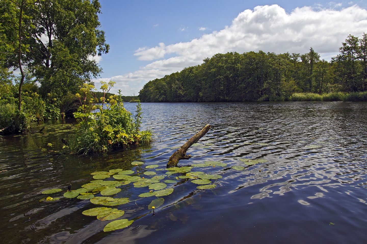 Peenetal, Mecklenburg-Vorpommern Peene, Deutschland