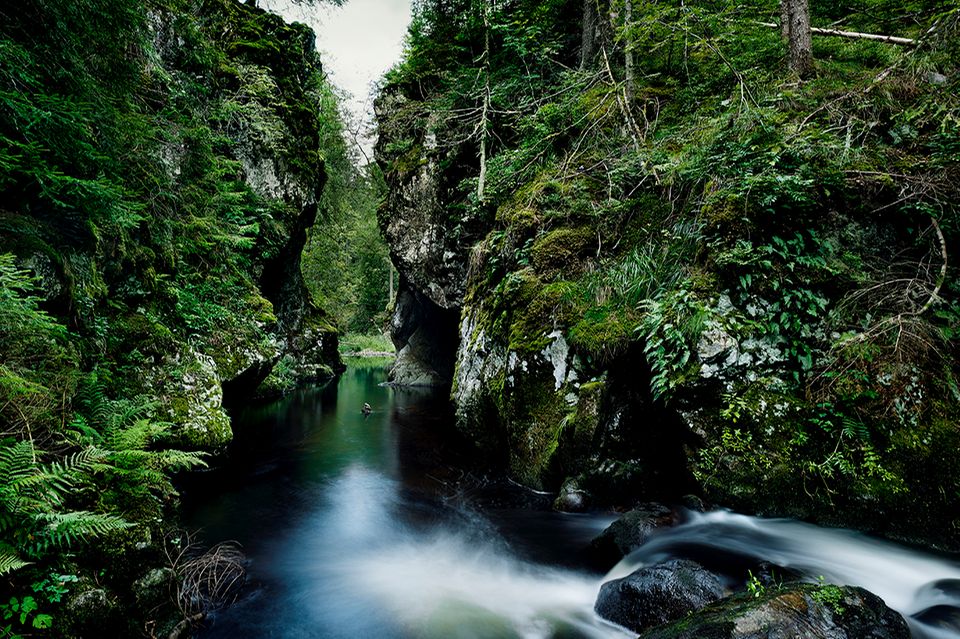 Wutachschlucht, Haslach  1.3808