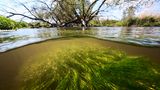 Die Schaale im Urstromtal der Elbe