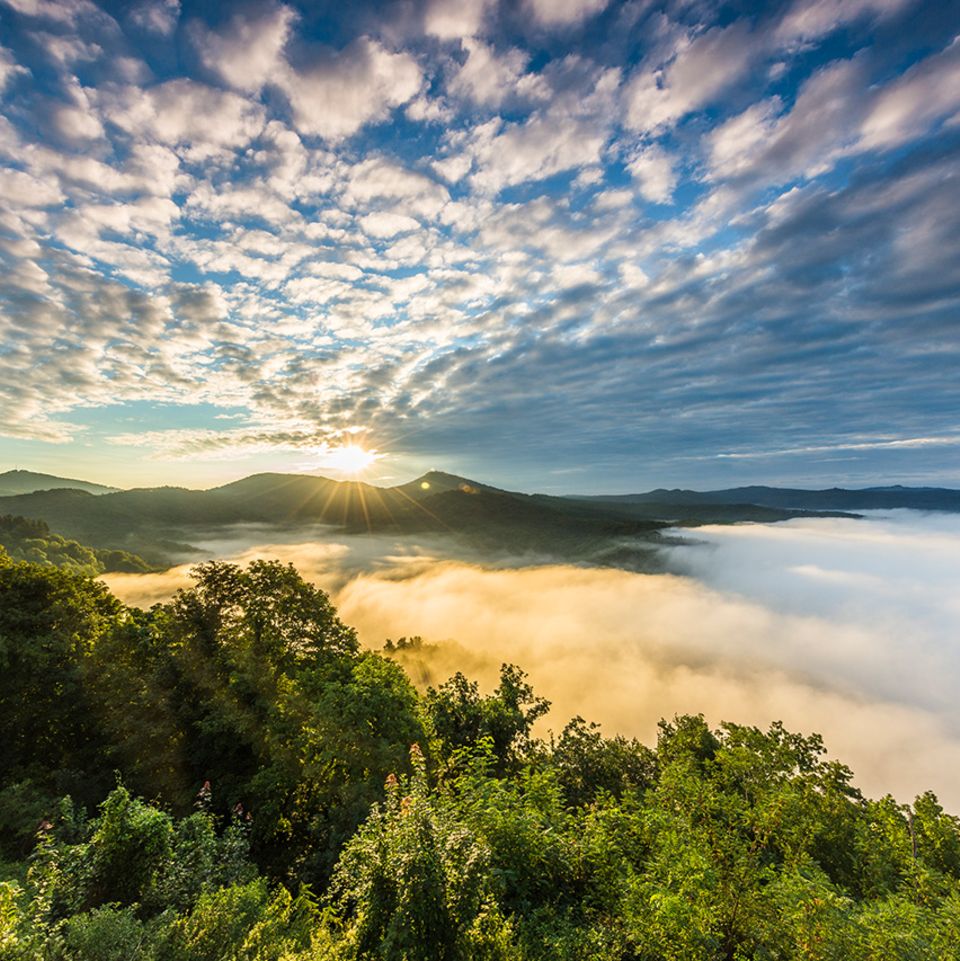 Naturpark Siebengebirge