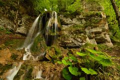 Naturpark Südschwarzwald