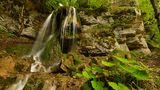 Naturpark Südschwarzwald