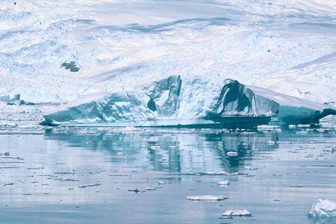 Polargebiete