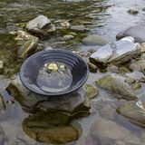 Goldnuggets beim Waschen am Fluss in der Pfanne