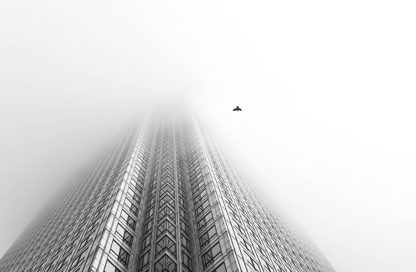 Krähe vor einem Hochhaus