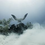 Nick Robertson-Brown