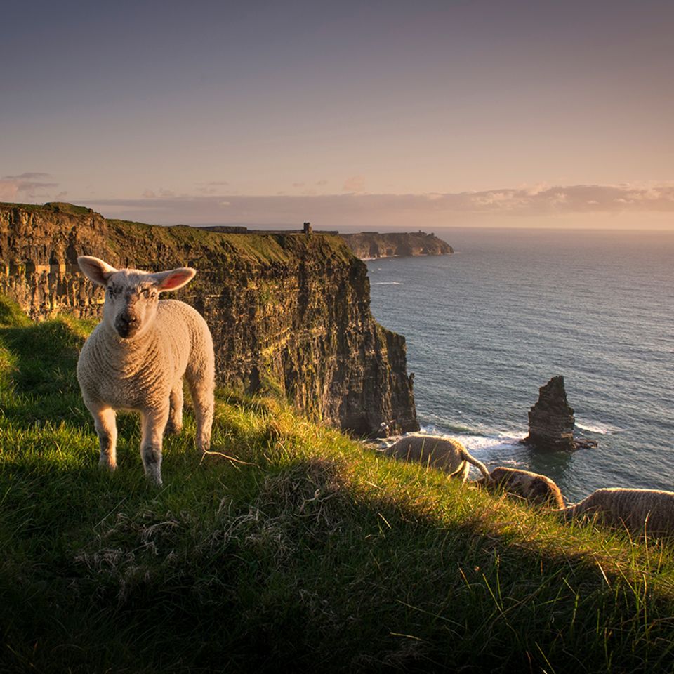 Cliffs of Moher