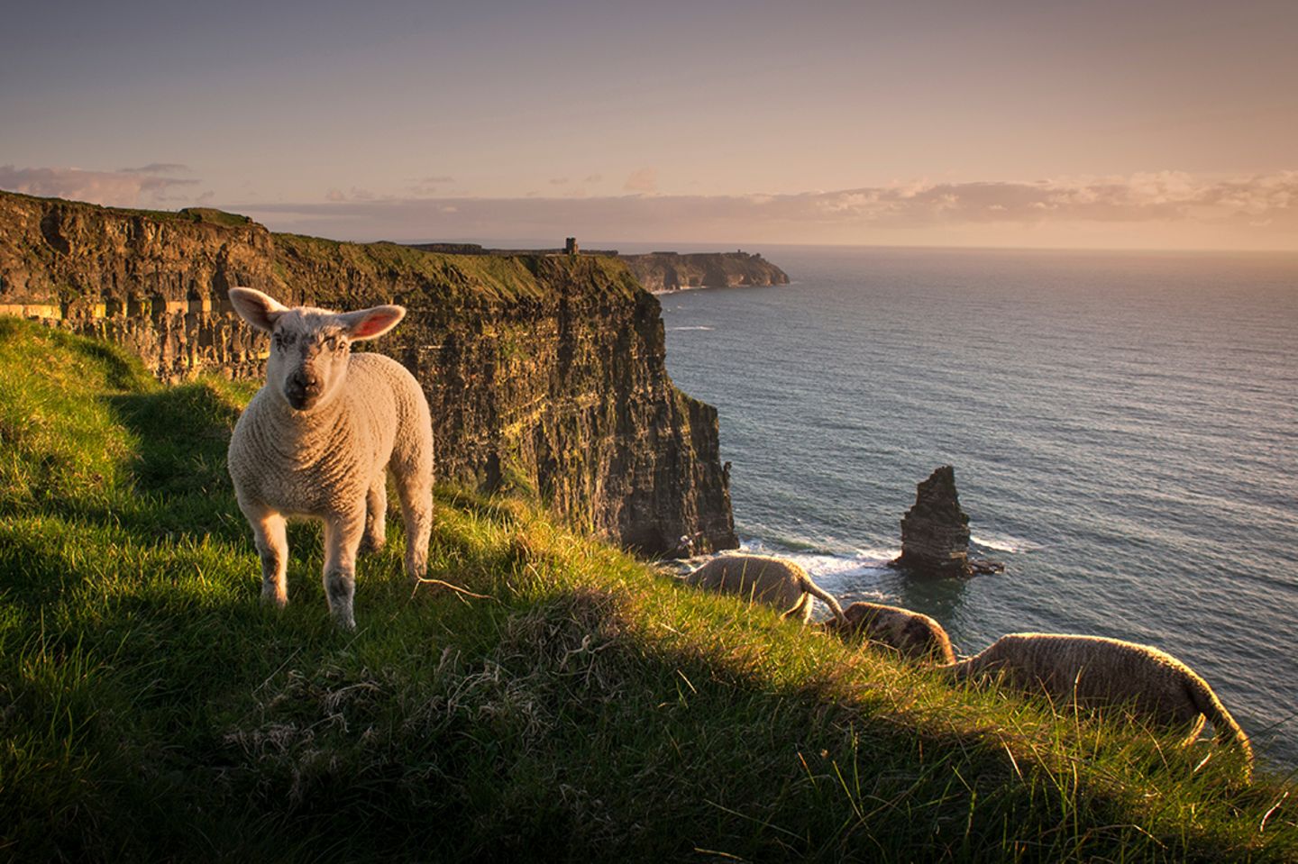 Irland: Warum die irische Grafschaft Clare alle verzaubert - [GEO]