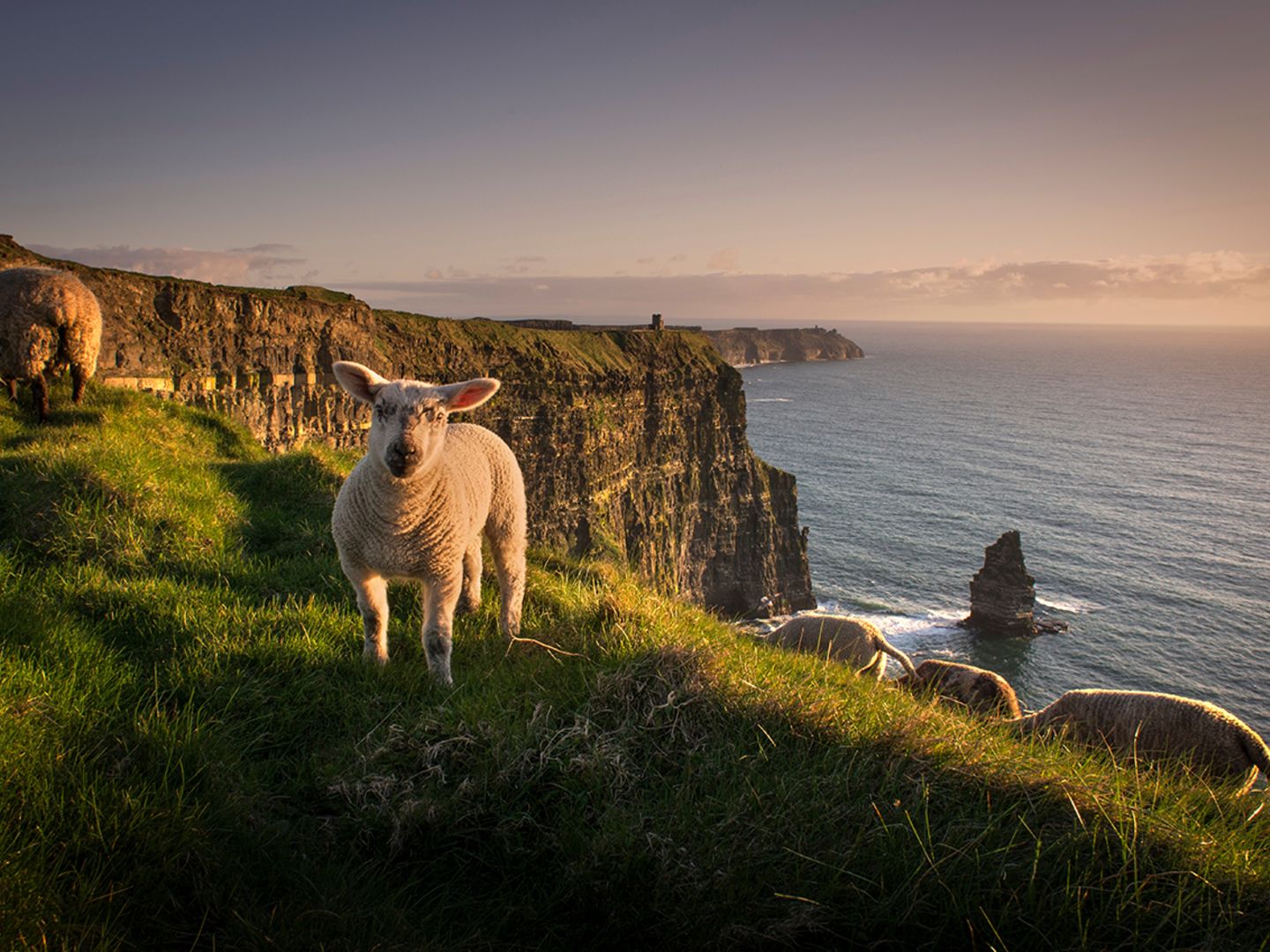 Irland: Warum die irische Grafschaft Clare alle verzaubert - [GEO]