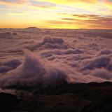 Morgenstimmung am Taranaki in Neuseeland
