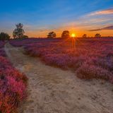 Nemitzer Heide, Niedersachsen