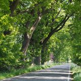 Deutsche Alleenstraße, Rügen