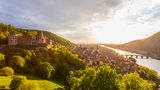 Schloss Heidelberg