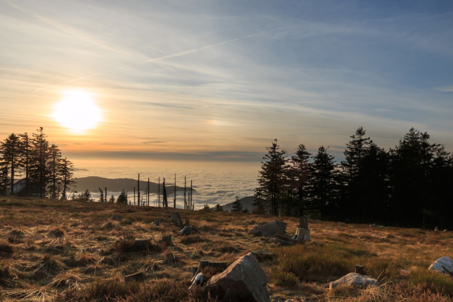 Platz 9: Nationalpark Schwarzwald Hornisgrinde, Nationalpark Schwarzwald