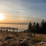 Hornisgrinde, Nationalpark Schwarzwald