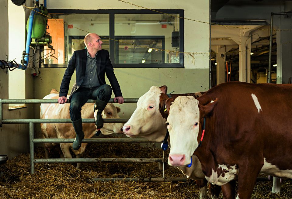 Bewusster Konsum : Verantwortung: Manche Vegetarier trinken Milch von Hochleistungskühen, beim Anbau von Soja sterben Mäuse: Die Frage ist nicht, ob man sich als Verbraucher schuldig macht, sagt Herwig Grimm – sondern, in welchem Maß