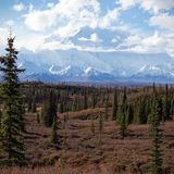Denali Nationalpark, Alaska