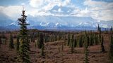Denali Nationalpark, Alaska