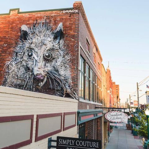 Bordalo II