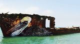 Bordalo II