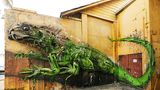 Bordalo II