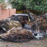 Bordalo II