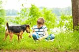 Junge und Hund spielen auf einer Wiese
