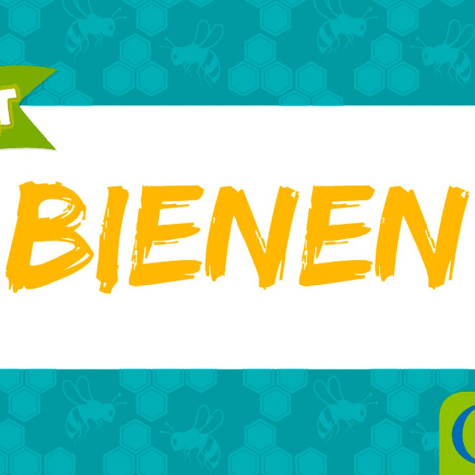 Wie wir die Welt retten: Imkern für die Bienen