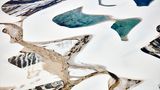 Rudi Sebastian  / Wildlife Photographer of the Year