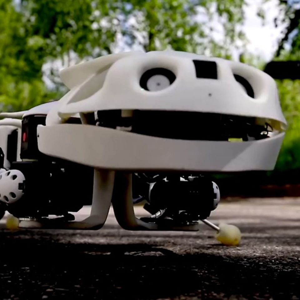 Gesundheit: Forscher lassen Salamander-Roboter für die Medizin kriechen