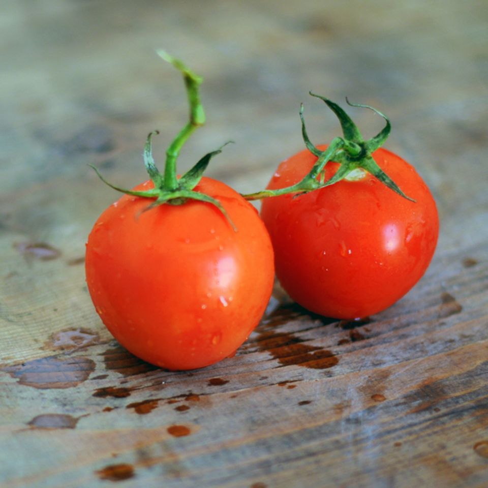 Tomaten
