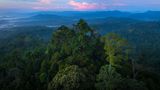 Danum Valley