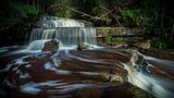 Borneo