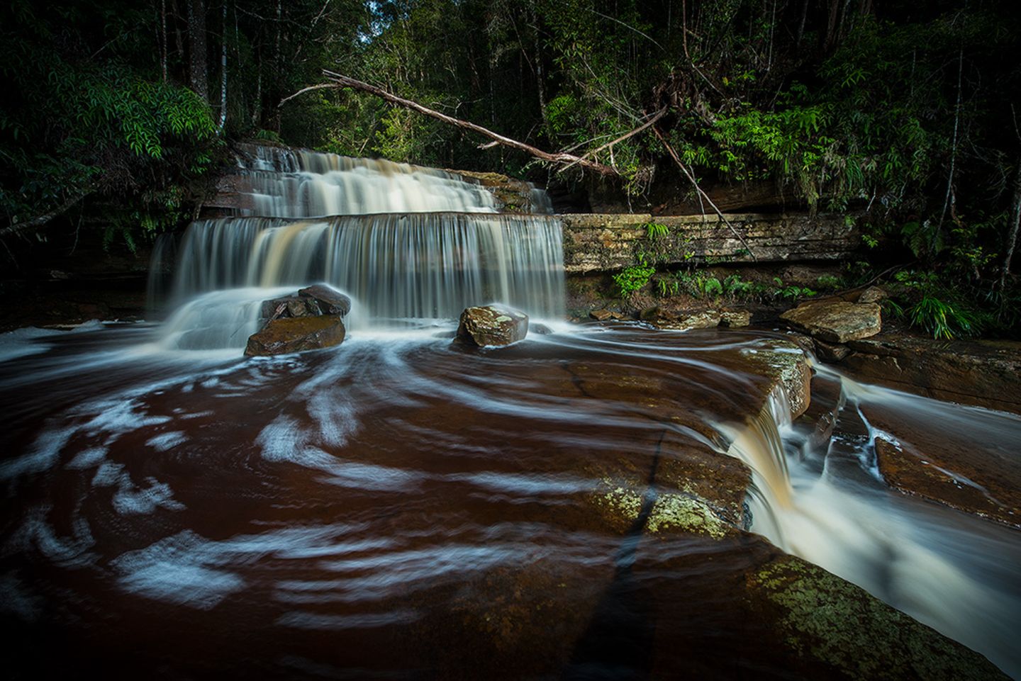 Borneo