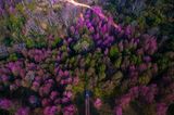 Phu Ki Tao,Phu Hin Rong Kla National Park,Phitsanulok, Thailand