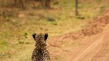 Comedy Wildlife Award: Die schrägsten Tierfotos der Welt - Bild 5