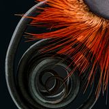 Nikon Small World 2016