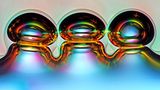 Nikon Small World 2016