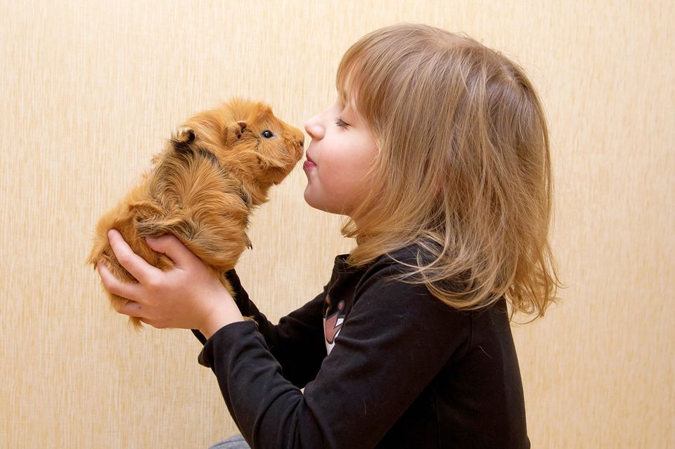 Ein Mädchen küsst ihren Hamster, als Haustier