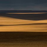 Gemäßigtes Grasland: Pampa (Chile, Patagonien)